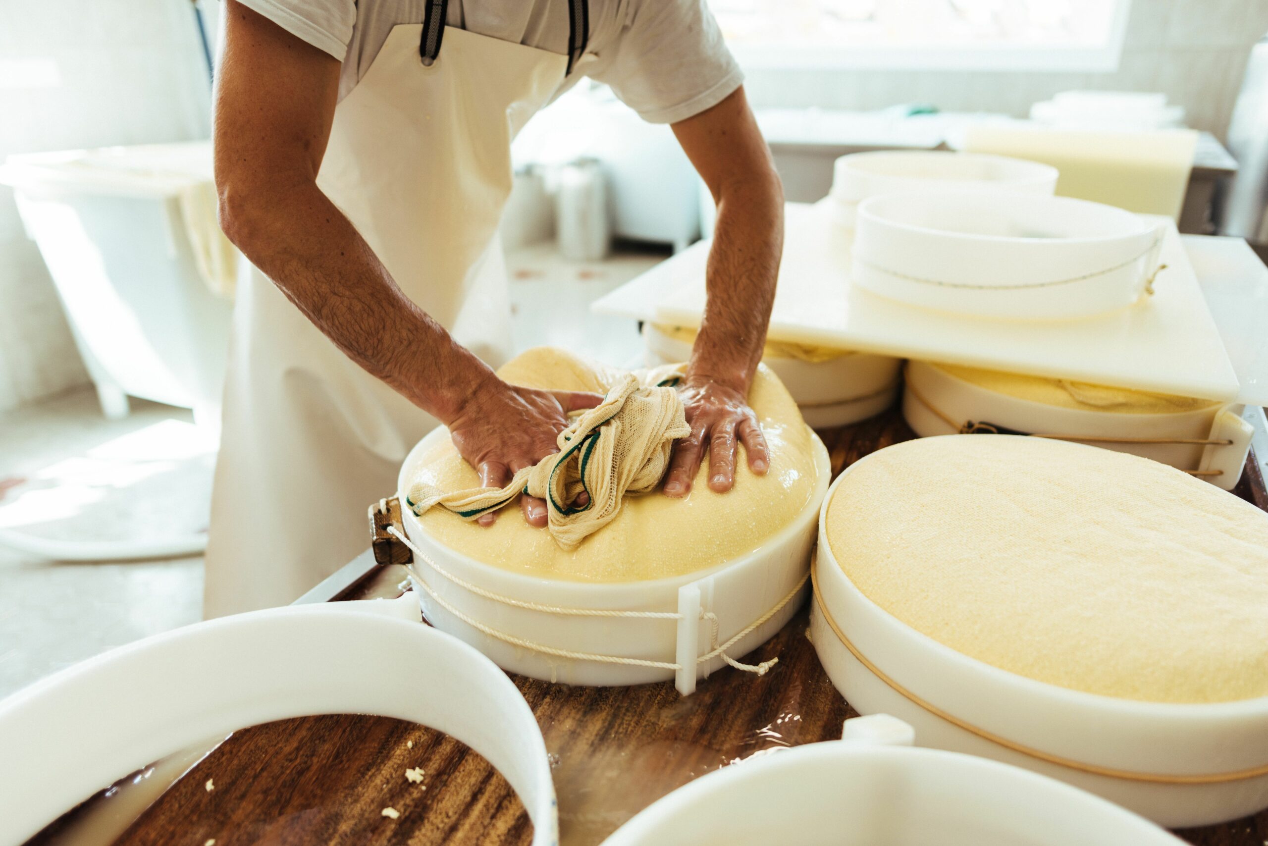 Käsereiführung und Verkostung