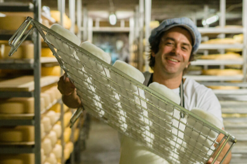 Betriebsbesichtigung in der Hofkäserei Heggelbach @ Hofgemeinschaft Heggelbach |  |  | 