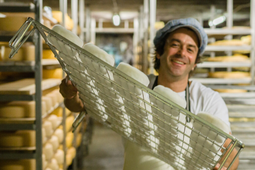 Käse und Wein – mit Riegel Bioweine